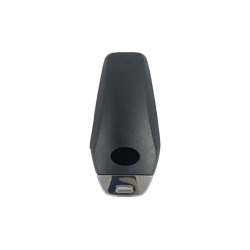 TELEMANDO KEYLESS BYD DESTROYER 05/DOPHIN ID46