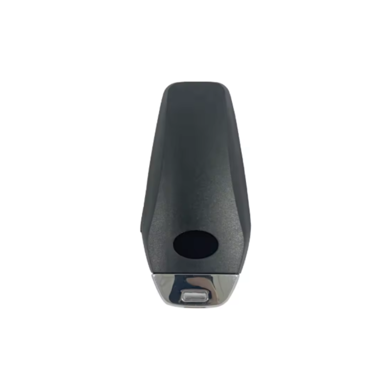 TELEMANDO KEYLESS BYD DESTROYER 05/DOPHIN ID46