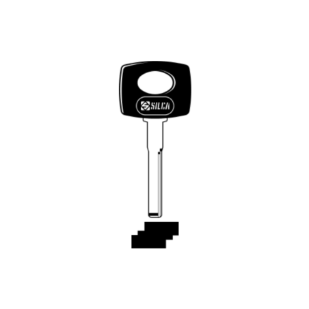 LLAVE VEHICULO CAB. PLASTICO ESPECIAL (laton)